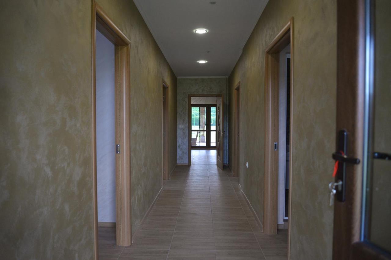 Guest House Erida Trastenik エクステリア 写真